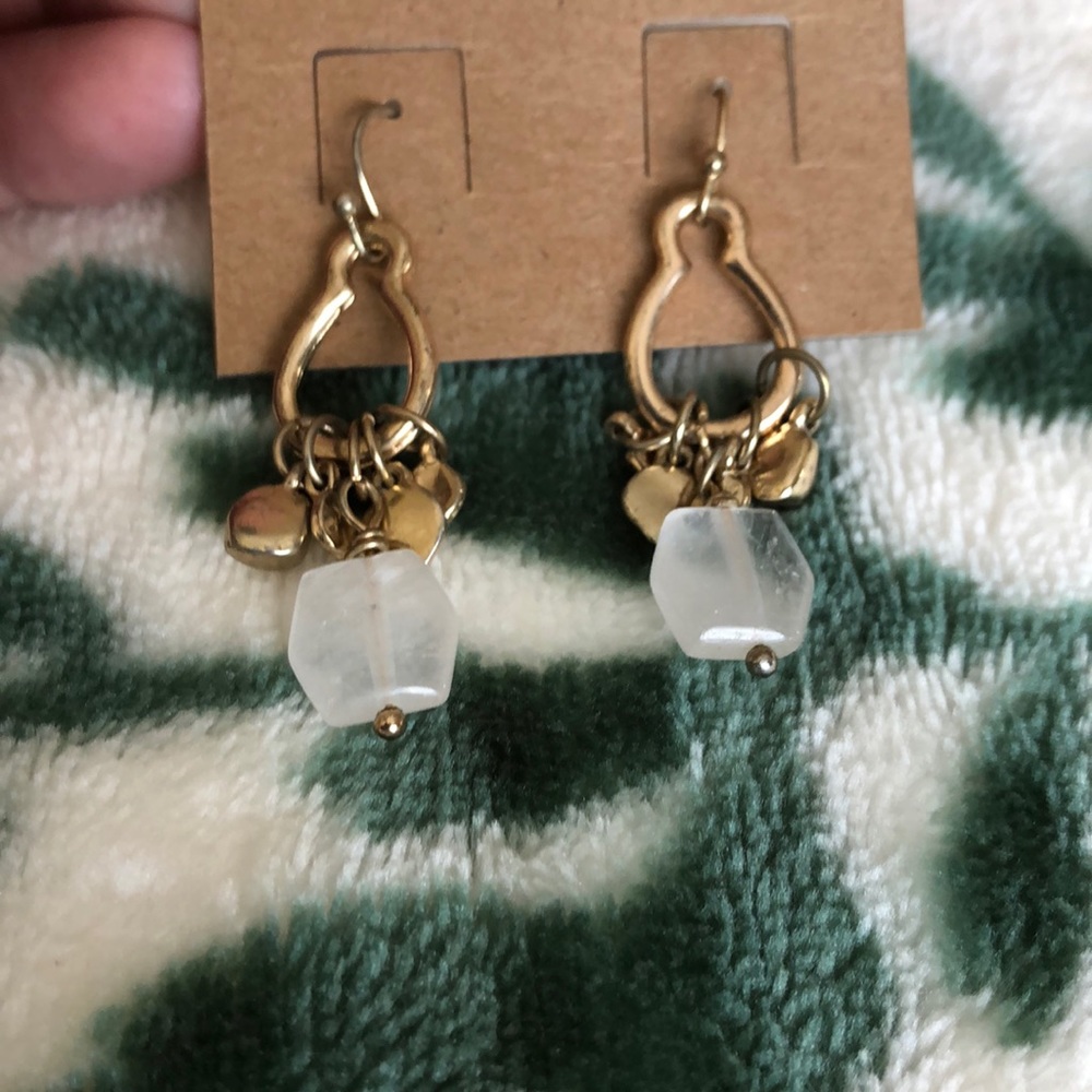 Beautiful Banana Republic earrings